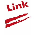 Link USA, Inc