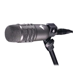 Audio-Technica AE2500, Cardioid condenser and dynamic dual-element instrument microphone