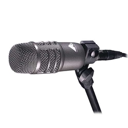 Audio-Technica AE2500, Cardioid condenser and dynamic dual-element instrument microphone
